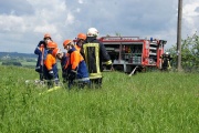 K800_DSC05073.JPG
