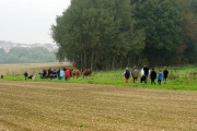 K800_DSC05990.JPG