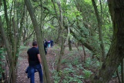 K800_DSC06027.JPG