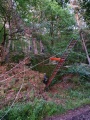 K800_IMG-20190808-WA0013.JPG