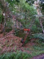 K800_IMG-20190808-WA0014.JPG