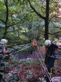 K800_IMG-20190808-WA0018.JPG